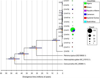 Population structure and evolutionary history of the greater cane rat (Thryonomys swinderianus) from the Guinean Forests of West Africa